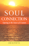 Soul Connection by Deb Schnitta Book Cover Image
